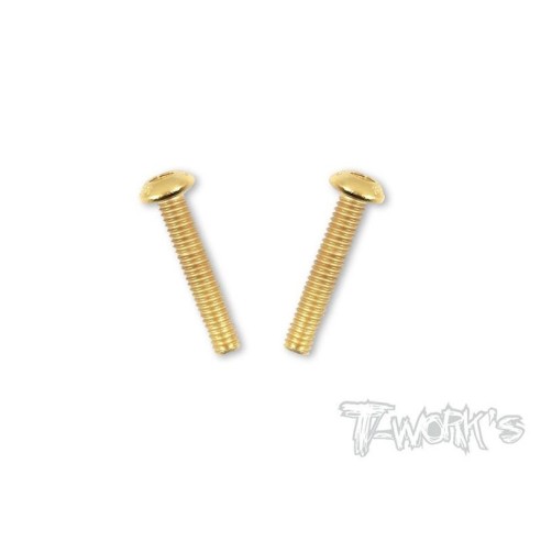 VITI 4x22mm BOTTONE ACCIAO GOLD 2pz TW-GSS422B